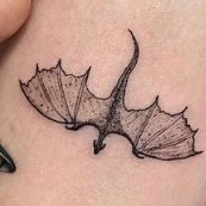 Meet your Posher, Lily